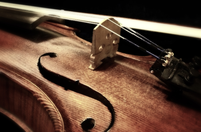 ヴァイオリン画像6